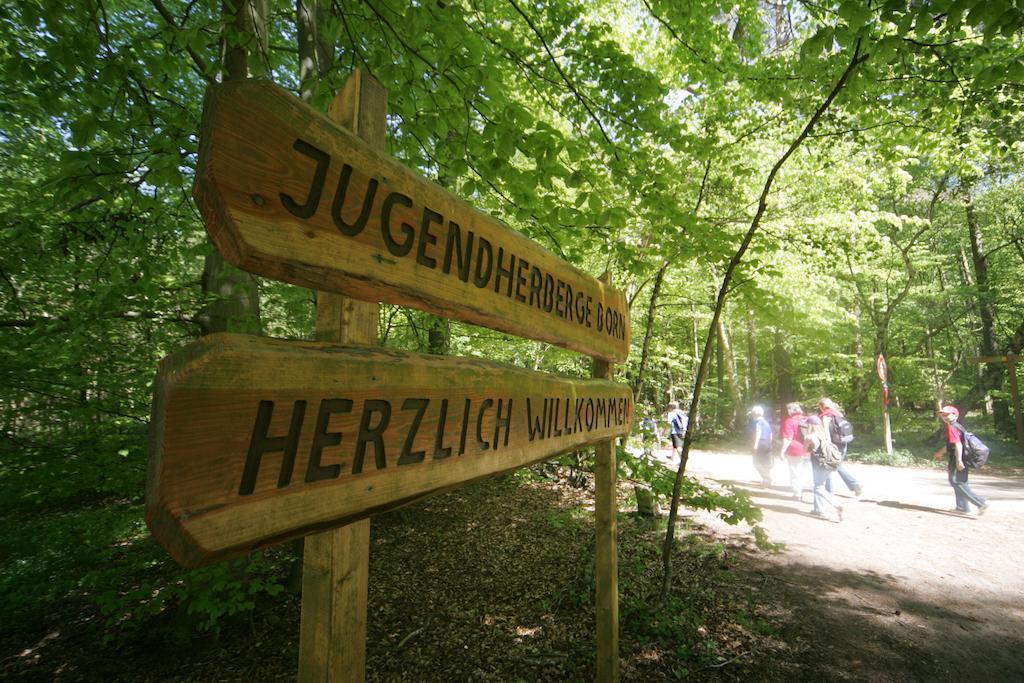 Djh Jugendherberge Born-Ibenhorst Extérieur photo